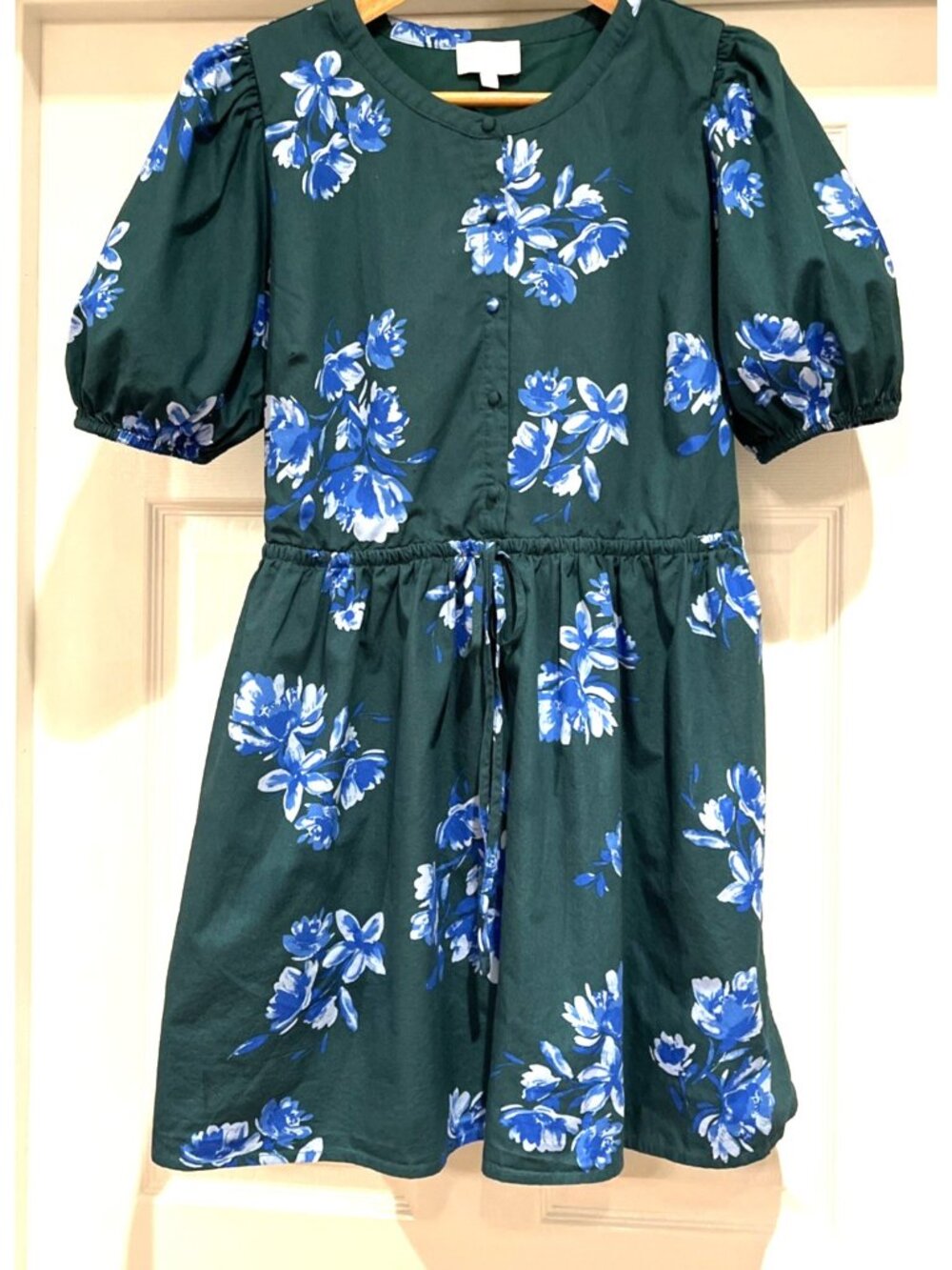 SugarLips Floral Dress Medium Green Blue Puff Sleeve Cinch Waist Preppy Cottage
